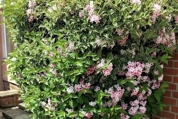 Pensjonat Sizewell Lodgings