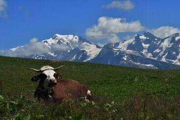 민박 Chambres D Hôtes La Pora