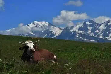Nocleg ze śniadaniem Chambres D Hôtes   La Pora