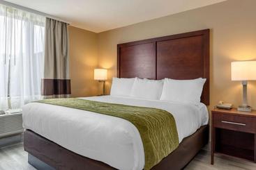 호텔 Comfort Inn