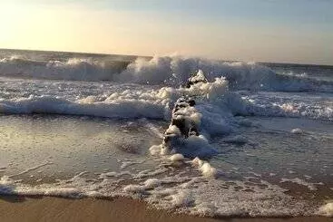 ホテル Haus Bomhoff