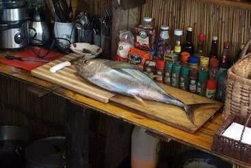 Hotelli Gamboozini Lodge