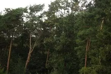 Bed & Breakfast De Loteling