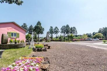 Pensjonat Jeju Green Pampas