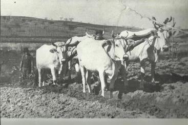 فندق ريفى Agriturismo Massoserpente