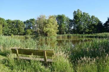 شقق خاصة سياحية Reetdachhaus Bongsiel