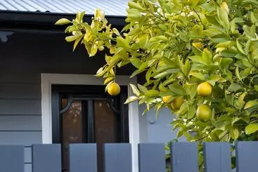 آپارتمانهای توریستها The Lemontree