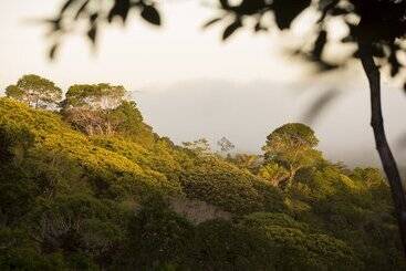 Apartamentos turísticos Ka Bru Forest Villa