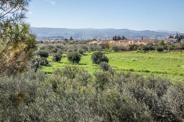 Жильё для туристов Phoenix Beachside Condos