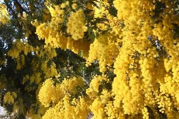 Pomonal Cottages Grampians