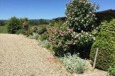 فندق ريفى Rinidia Bio