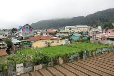 Pensión Thuvaraga Rest