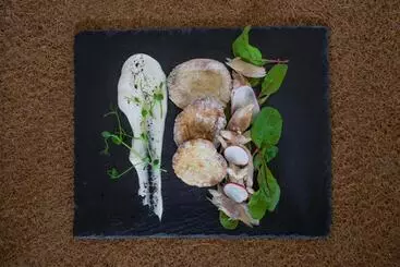 Majatalo Novobilski   Pod Wyciągiem Bania I Kotelnica, Obok Termy Bania