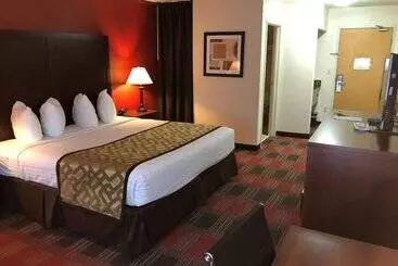 酒店 Best Western Dallas Inn & Suites