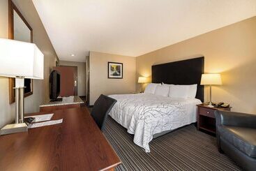 فندق Best Western Park Oasis Inn