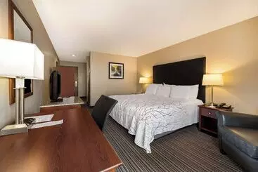 فندق Best Western Park Oasis Inn