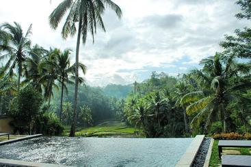 Bed and Breakfast The Papas Villas