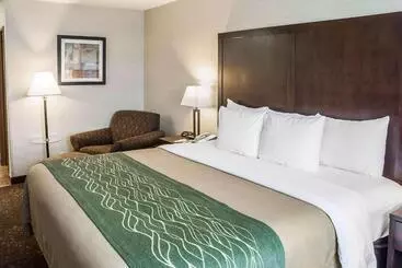 ホテル Comfort Inn Federal Way  Seattle