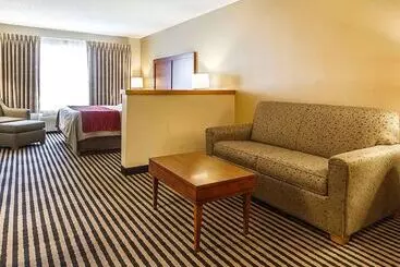ホテル Comfort Inn Owatonna Near Medical Center