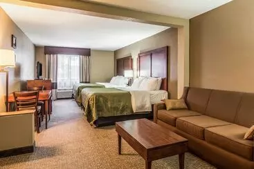 ホテル Quality Inn & Suites Salem Near I57