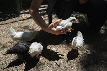 B&b Il Giardino Degli Incanti