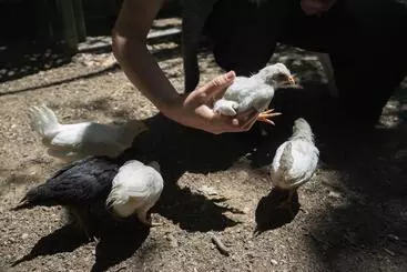 B&b Il Giardino Degli Incanti