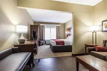 酒店 Comfort Suites Effingham