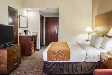 Hotel Comfort Suites Raleigh Durham Airport/rtp