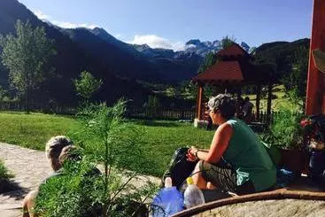 Pension  Guesthouse Alpini