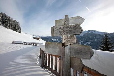 膳宿费 Alpenkönig