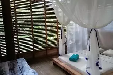 ペンション Palmayacu   Refugio Amazónico