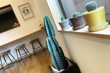 هاستل Cactus Inn