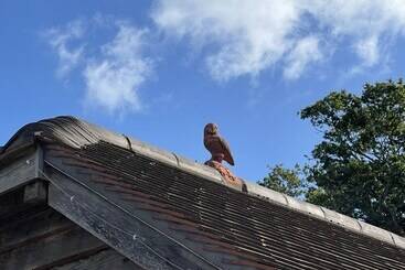 Bed and Breakfast Lancasters Cottage