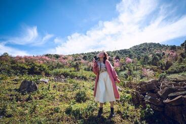 Qa Hotel Dalat   City Centre