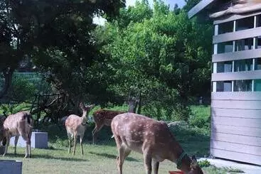 Pension 頌謙文旅 梅花鹿同住
