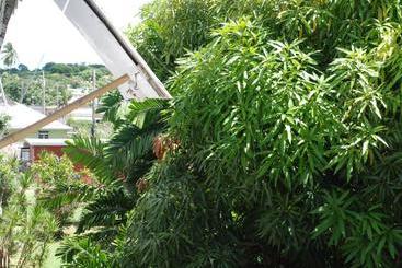 پانسیون Charming Old World Apartment