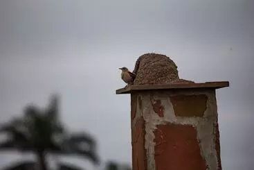 El Tránsito Hotel Boutique