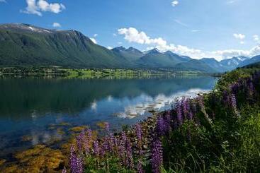 Isfjorden Turisthotell & Motell