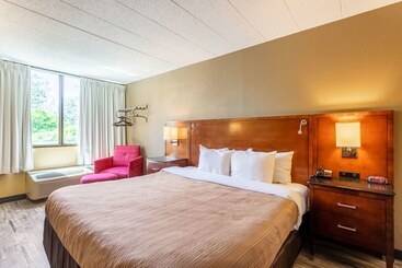 בית מלון כפרי Suburban Studios