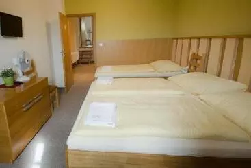 Pensjonat Penzion A Vinařství U Vrbů