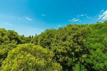 Апартаменты Hedera Estate, Hedera A1