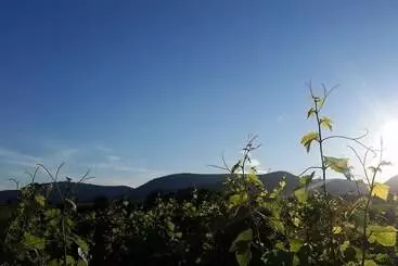 Majatalo Gästehaus Bourdy