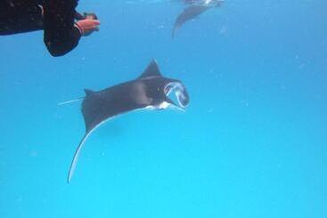 پانسیون Biosphere Inn