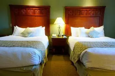 ホテル Best Western Plus Forest Park Inn