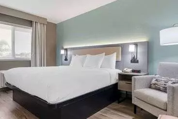 酒店 Comfort Inn Sea World Area