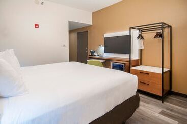 Otel Four Points By Sheraton Alexandria