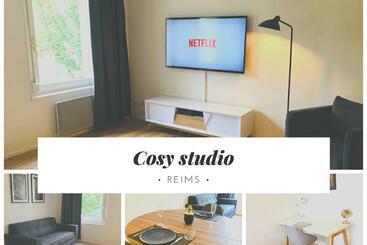 Apartamentos turísticos Suite Laon 89