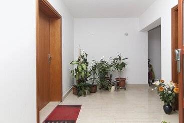 Apartments Levan Ceja