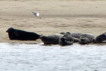 فندق The Hawthorne