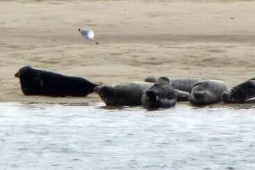 Отель The Hawthorne